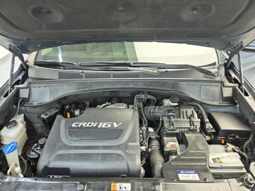 현대 더뉴맥스크루즈 E-VGT R2.2 2WD 사진 5