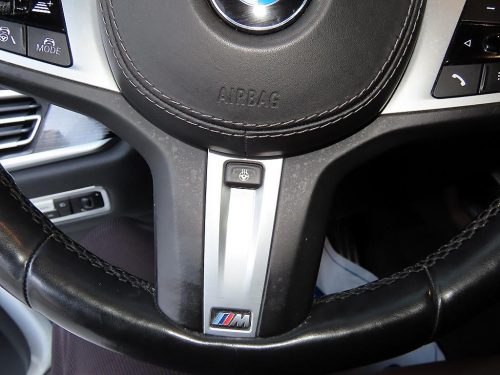 BMW X7 (G07) xDrive 40i M 스포츠 사진 10