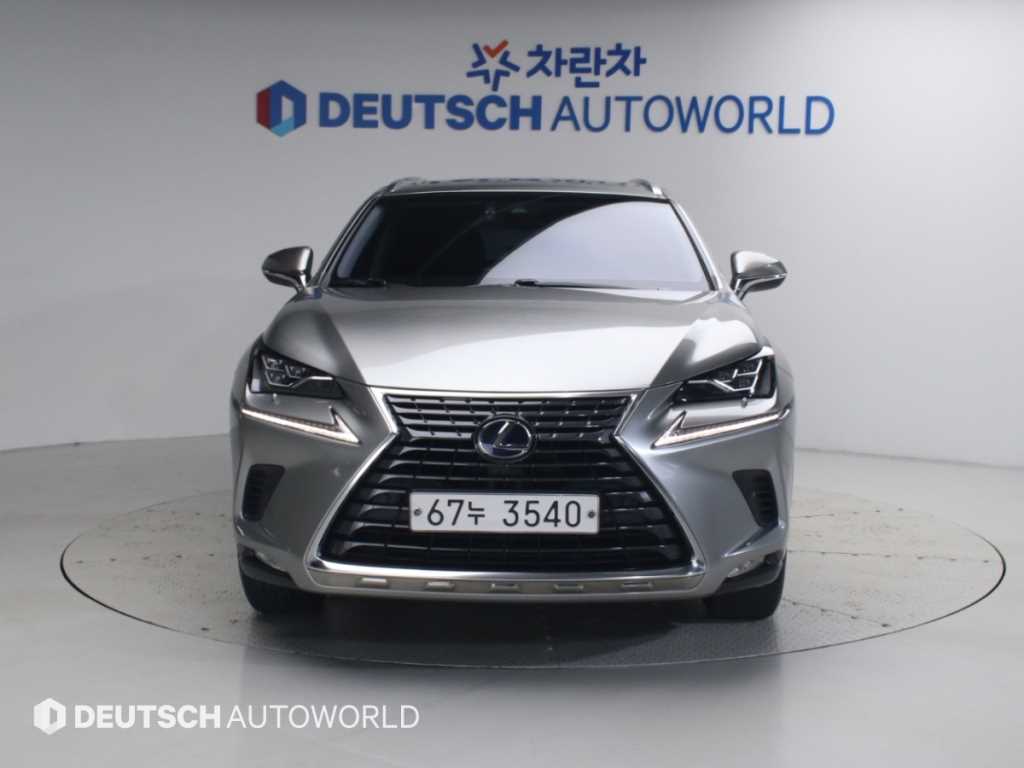 렉서스 NX 300h 이그제큐티브