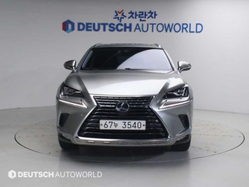 렉서스 NX 300h 이그제큐티브