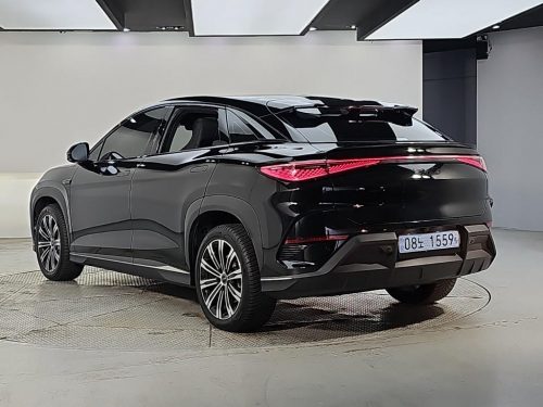 BYD 씨라이언 7 베이스 사진 3