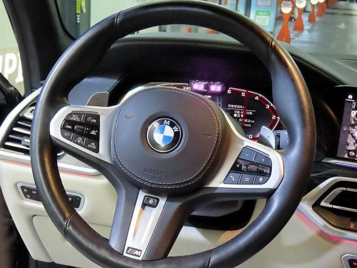 BMW X7 (G07) xDrive 40d M 스포츠 사진 8