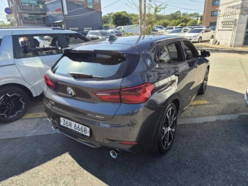 BMW X2 (F39) xDrive 20d M 스포츠 사진 5