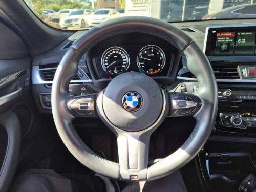 BMW X2 (F39) xDrive 20d M 스포츠 사진 14