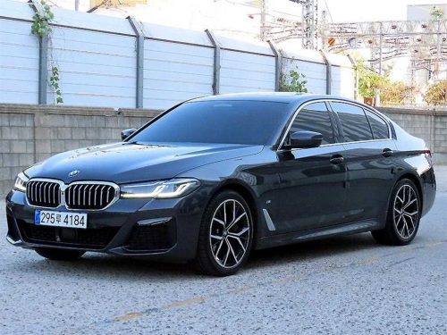 BMW 5시리즈 (G30) 530i xDrive M 스포츠 사진 2