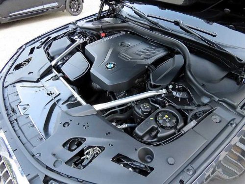 BMW 5시리즈 (G30) 530i xDrive M 스포츠 사진 19