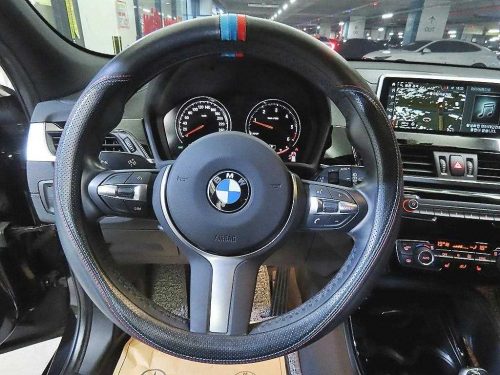 BMW X2 (F39) xDrive 20d M 스포츠 사진 8