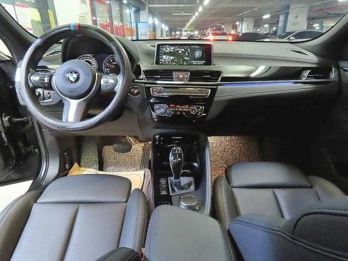 BMW X2 (F39) xDrive 20d M 스포츠 사진 10