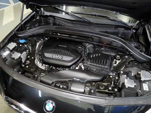 BMW X2 (F39) xDrive 20d M 스포츠 사진 19