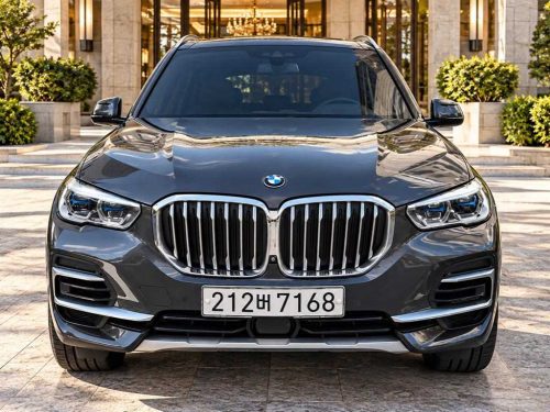 BMW X5 (G05) xDrive 45e xLine
