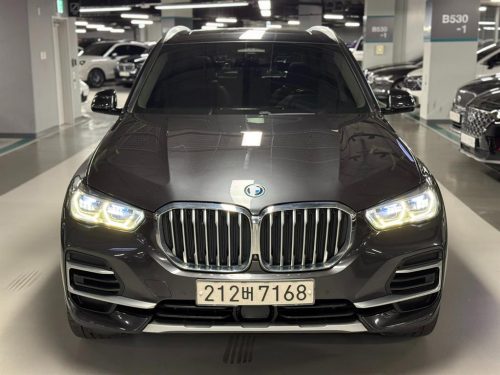 BMW X5 (G05) xDrive 45e xLine 사진 2