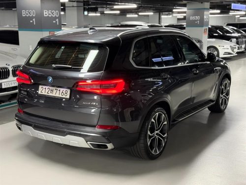 BMW X5 (G05) xDrive 45e xLine 사진 5