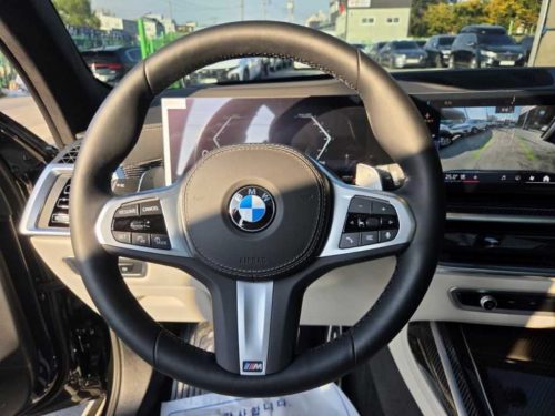 BMW X7 (G07) xDrive 40d M 스포츠 사진 8