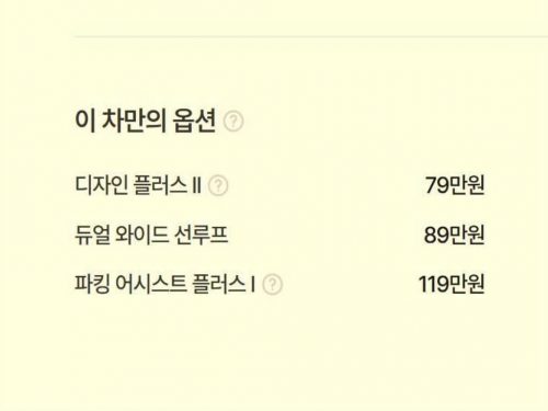 현대 싼타페 하이브리드 MX5 1.6T 2WD 프레스티지 사진 19