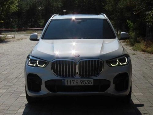 BMW X5 (G05) xDrive 30d M 스포츠