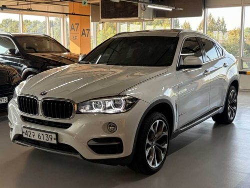 BMW X6 (F16) xDrive 30d 사진 2