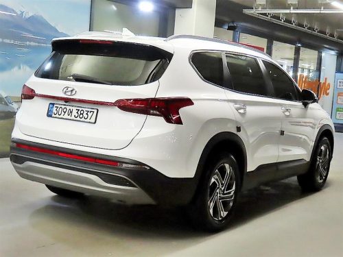 현대 더 뉴 싼타페 디젤 2.2 2WD 프레스티지 사진 모두보기