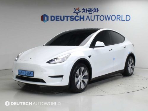 테슬라 모델 Y RWD