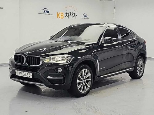 BMW X6 (F16) xDrive 30d 사진 2