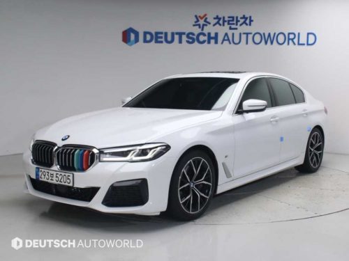 BMW 5시리즈 (G30) 530i xDrive M 스포츠