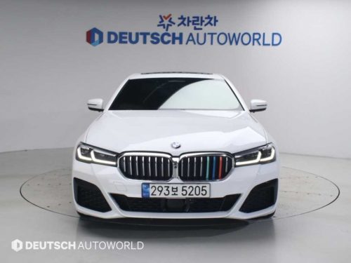 BMW 5시리즈 (G30) 530i xDrive M 스포츠 사진 3