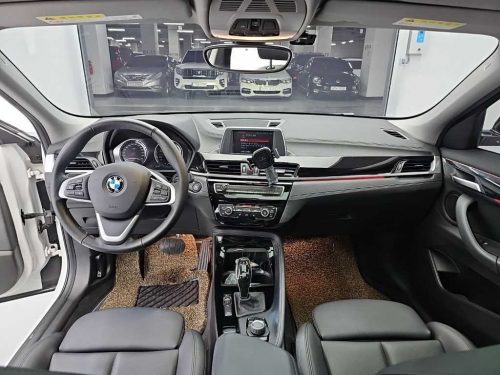 BMW X2 (F39) xDrive 18d M 스포츠 사진 16