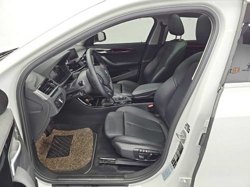 BMW X2 (F39) xDrive 18d M 스포츠 사진 17