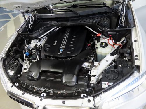 BMW X6 (F16) xDrive 40d 사진 19