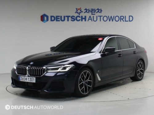 BMW 5시리즈 (G30) 530i xDrive M 스포츠