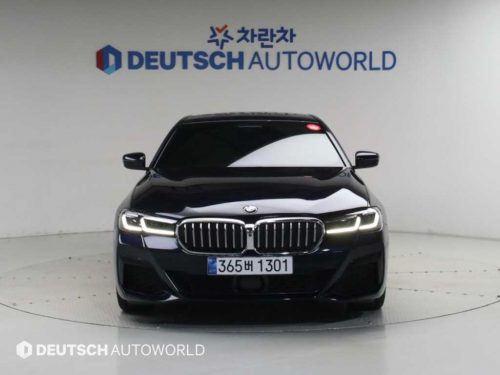 BMW 5시리즈 (G30) 530i xDrive M 스포츠 사진 3