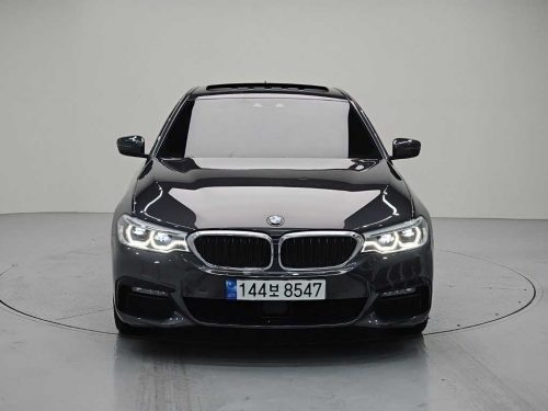 BMW 5시리즈 (G30) 530e M 스포츠 사진 2
