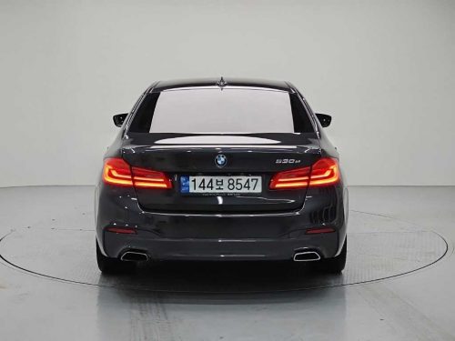 BMW 5시리즈 (G30) 530e M 스포츠 사진 3