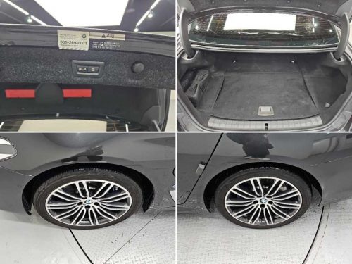 BMW 5시리즈 (G30) 530e M 스포츠 사진 19