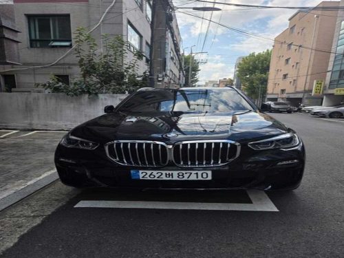 BMW X5 (G05) xDrive 30d M 스포츠