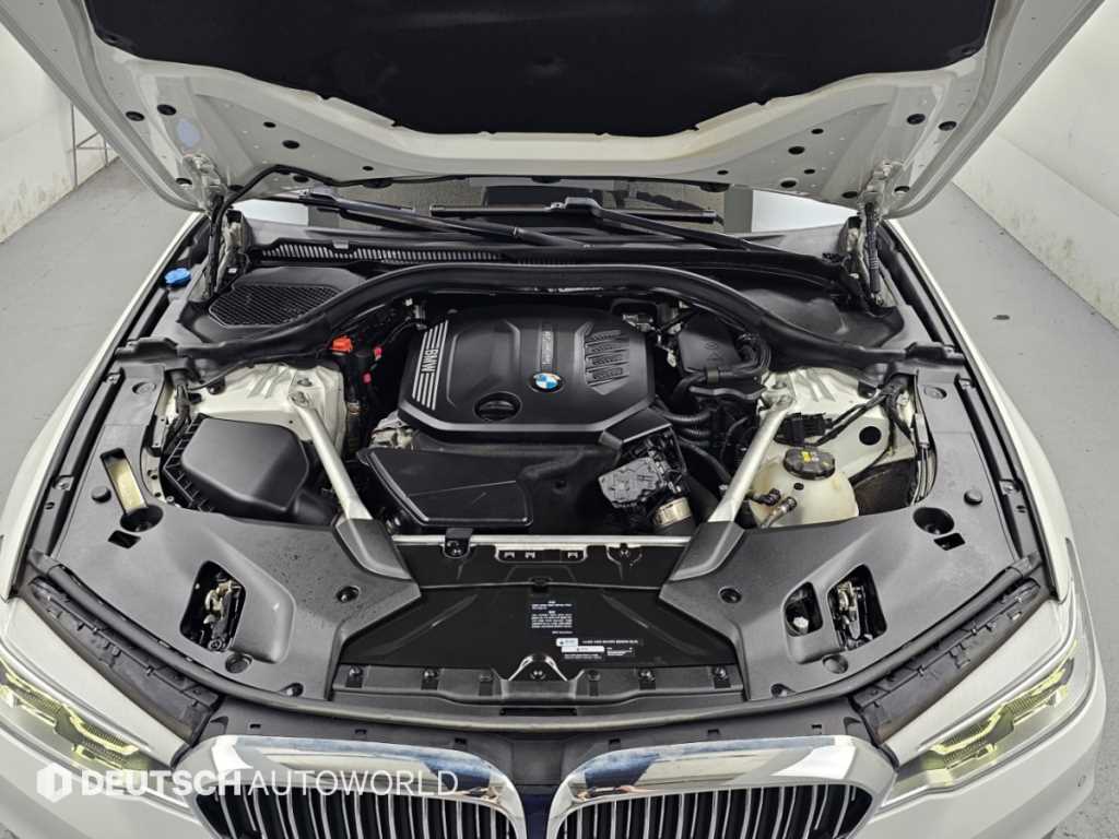 BMW 5시리즈 (G30) 520d 럭셔리 플러스 사진 6