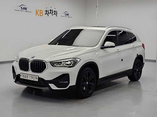 BMW X1 (F48) xDrive 18d M 스포츠