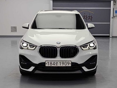 BMW X1 (F48) xDrive 18d M 스포츠 사진 2