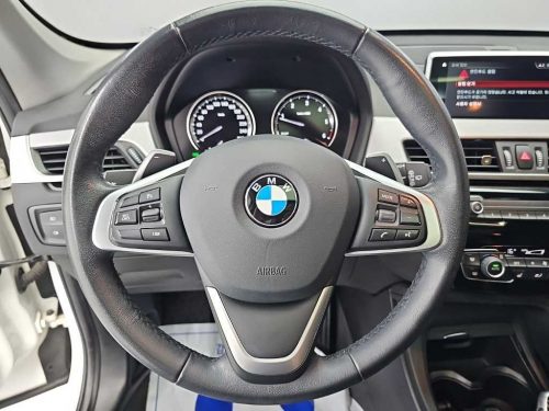 BMW X1 (F48) xDrive 18d M 스포츠 사진 9