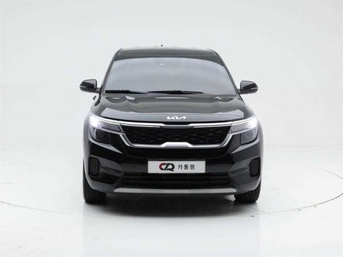기아 셀토스 가솔린 1.6 터보 2WD 사진 2