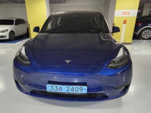 테슬라 모델 Y RWD
