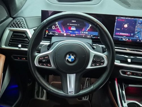 BMW X7 (G07) xDrive 40d M 스포츠 사진 8