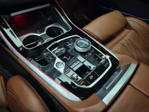 BMW X7 (G07) xDrive 40d M 스포츠 사진 9