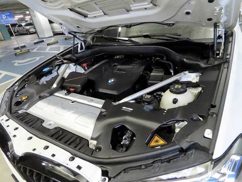 BMW X3 (G01) xDrive 20i M 스포츠 프로 사진 19