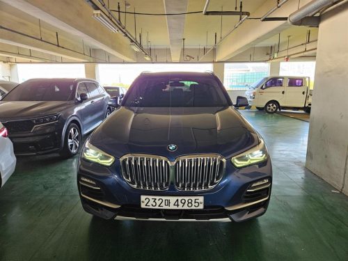 BMW X5 (G05) xDrive 30d xLine 사진 2