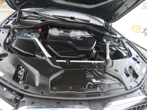 BMW 5시리즈 (G30) 530i 럭셔리 플러스 사진 19