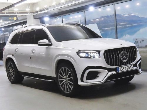 벤츠 GLS클래스 X167 GLS 450 4MATIC