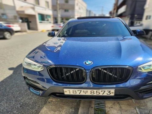 BMW X3 (G01) xDrive 20d xLine