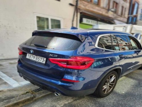 BMW X3 (G01) xDrive 20d xLine 사진 6