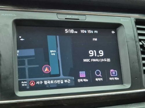 기아 더 뉴 카니발 디젤 9인승 노블레스 스페셜 사진 13