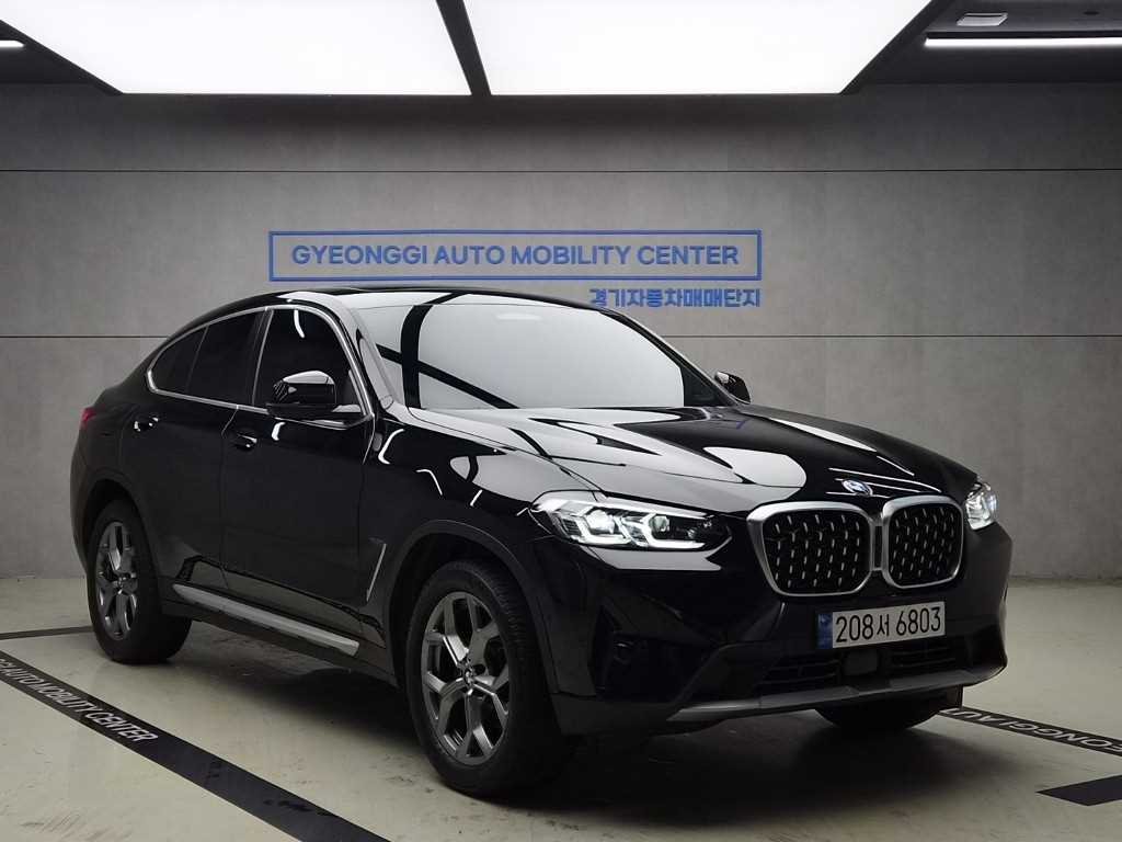 BMW X4 (G02) xDrive 20i xLine